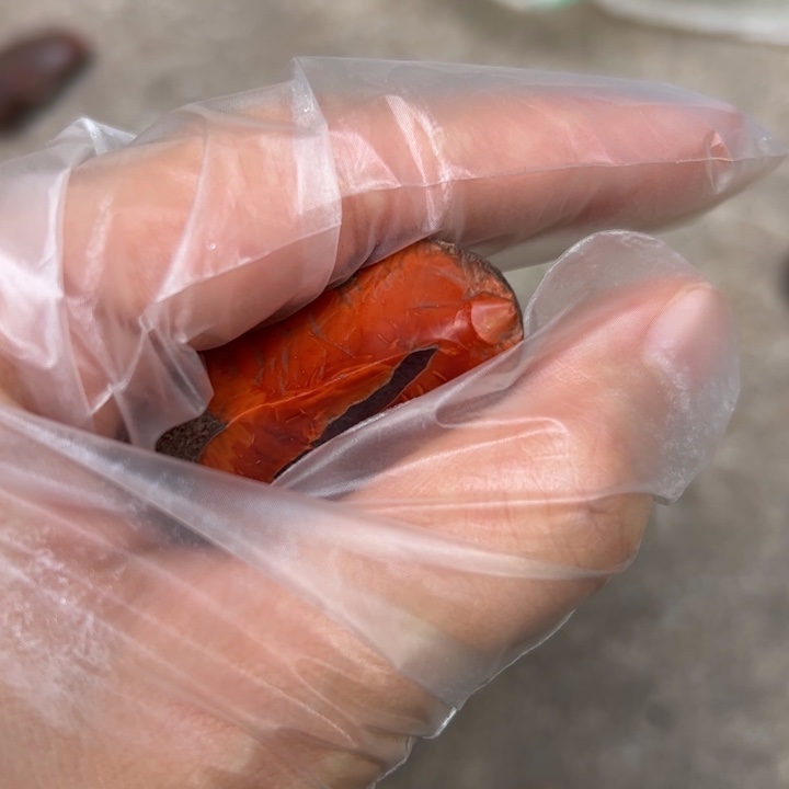 南红玛瑙未镶嵌半成品