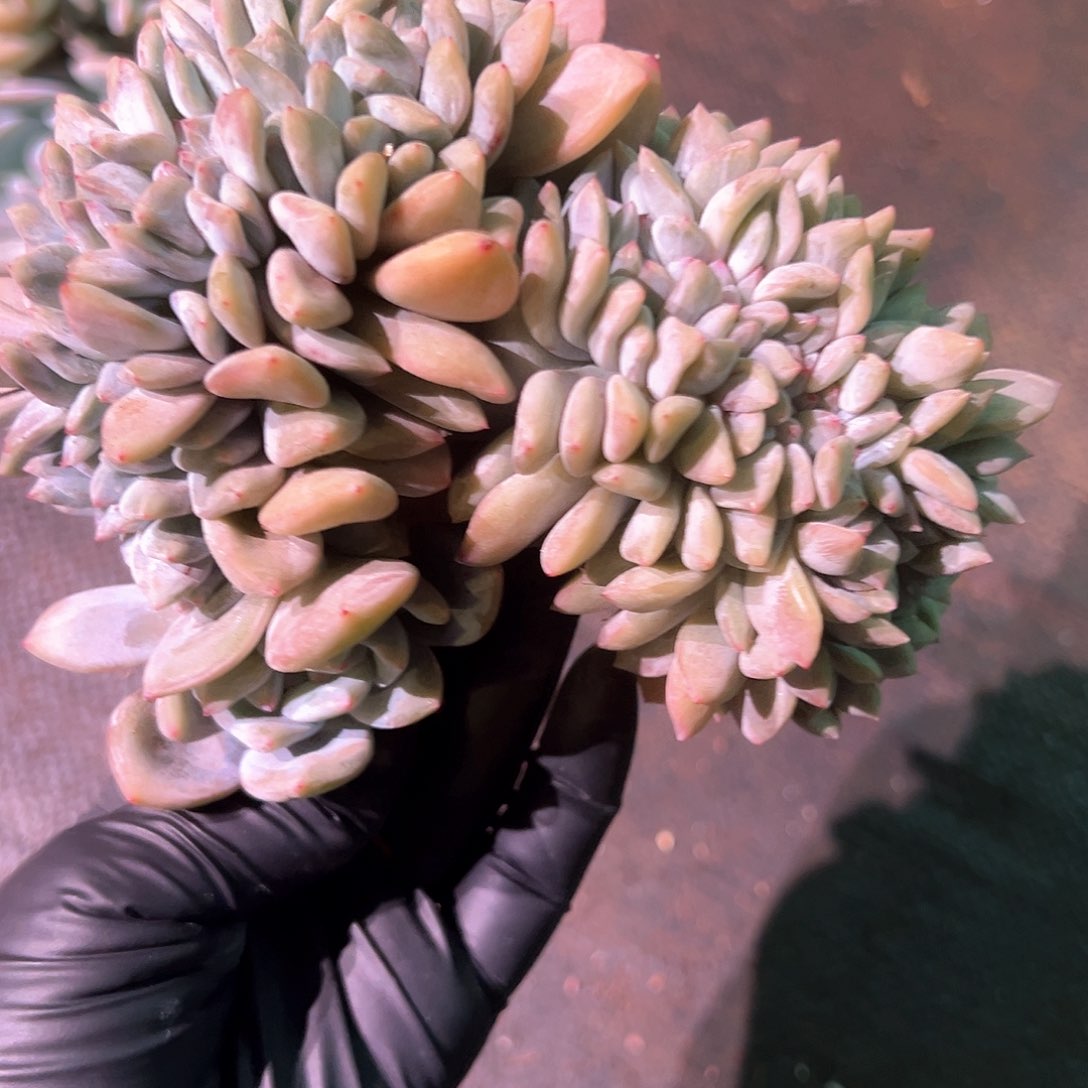 11111111111111111111