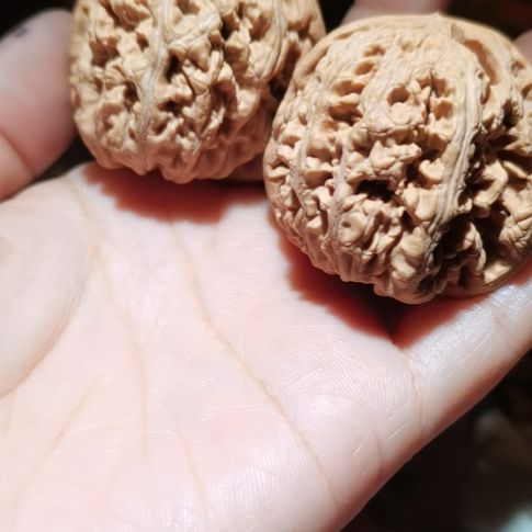 猴头核桃吊坠42粗筋