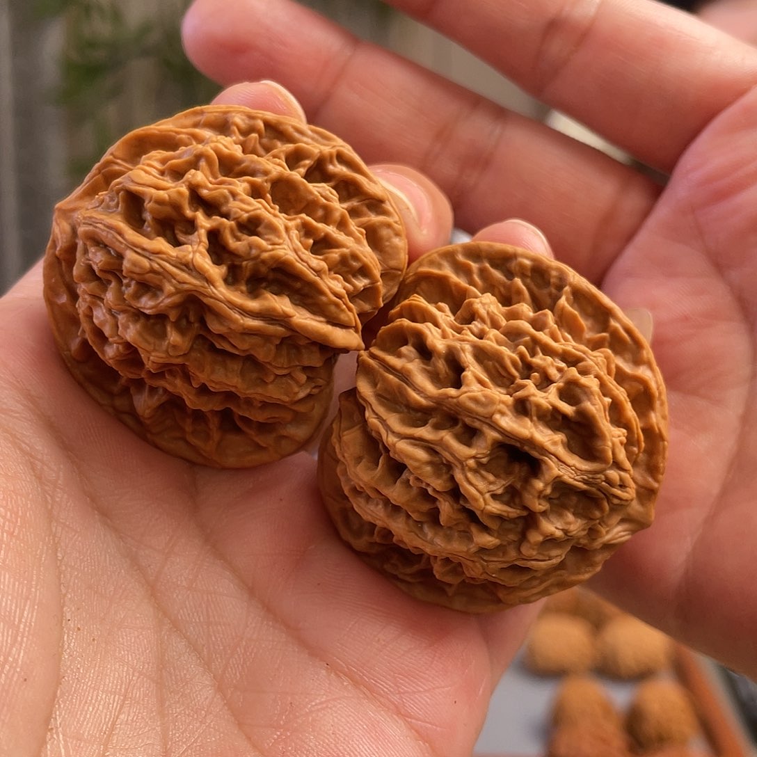 桃核把件44×40尺全品盘龙纹狮子头CN0941已打底