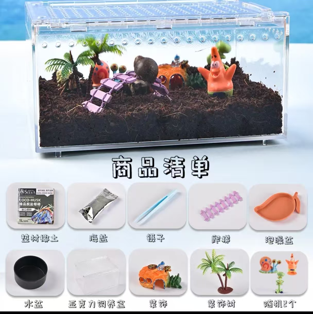 寄居蟹新手饲养套盒让新手轻松开启寄居蟹饲养之旅批发
