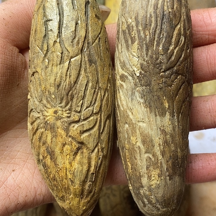 用***2吊坠千眼菩提菩提