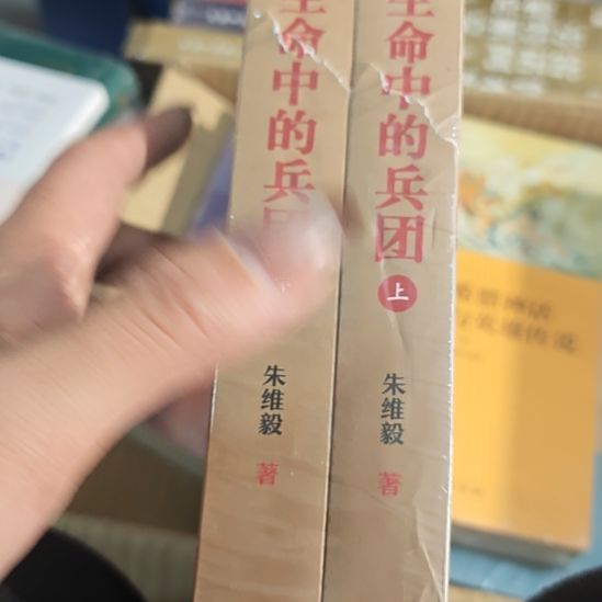 生命中的两本瑕疵介意勿拍残书