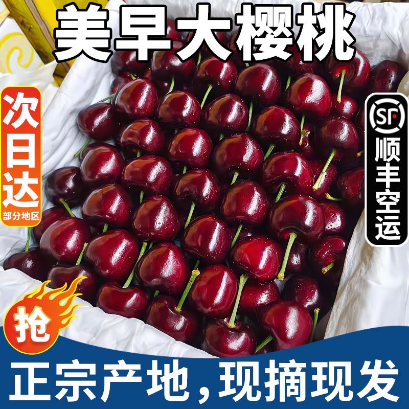 大连美早樱桃现摘新鲜整箱5J车厘子750g