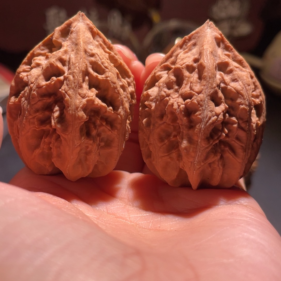 文玩核桃吊坠老树龙纹23