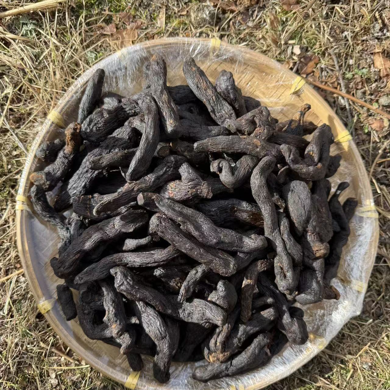 ［西藏收货］西藏产区山货九制黄晶西洋参 西洋参 西洋参