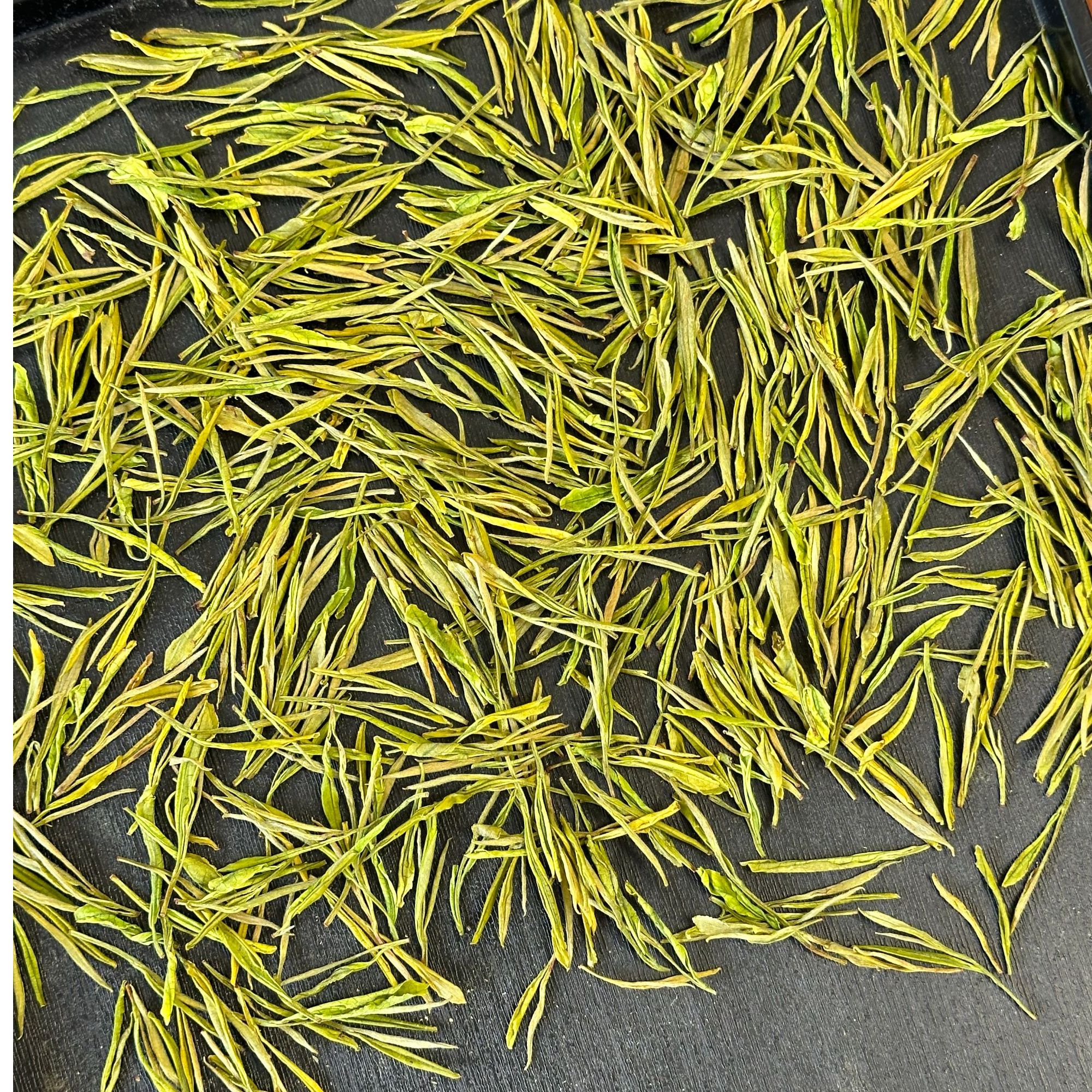 2024年安吉黄金芽