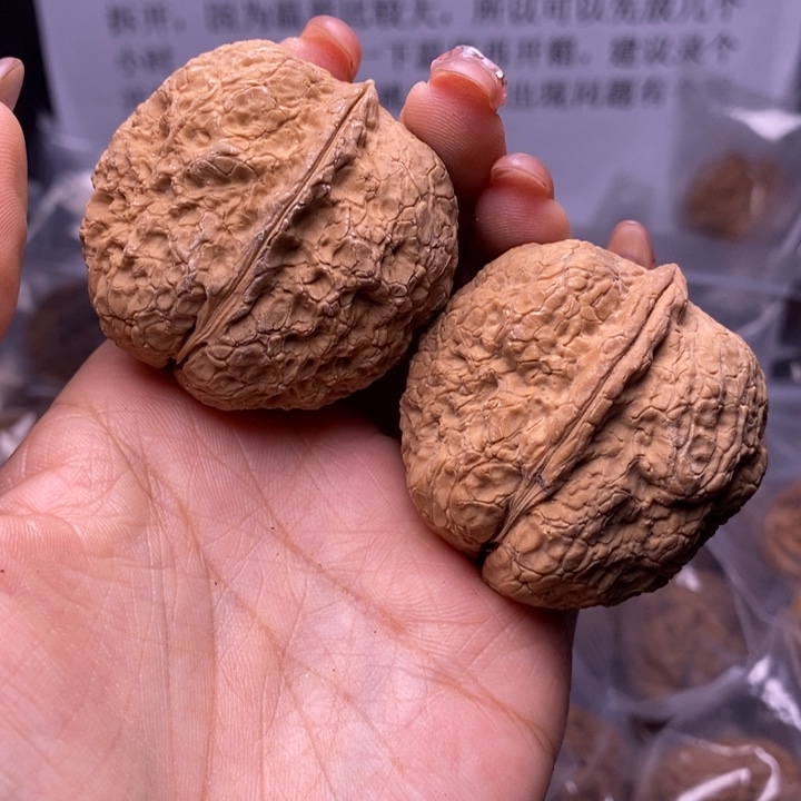 核桃云南野生铁核桃45号44m