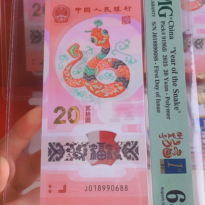 塑料2025蛇钞018990688