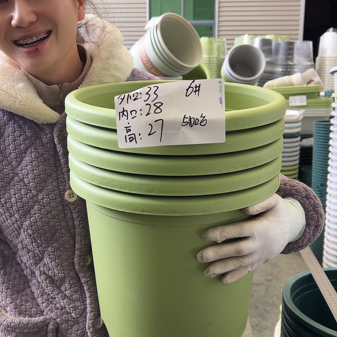 四季盆6#果绿5个无托