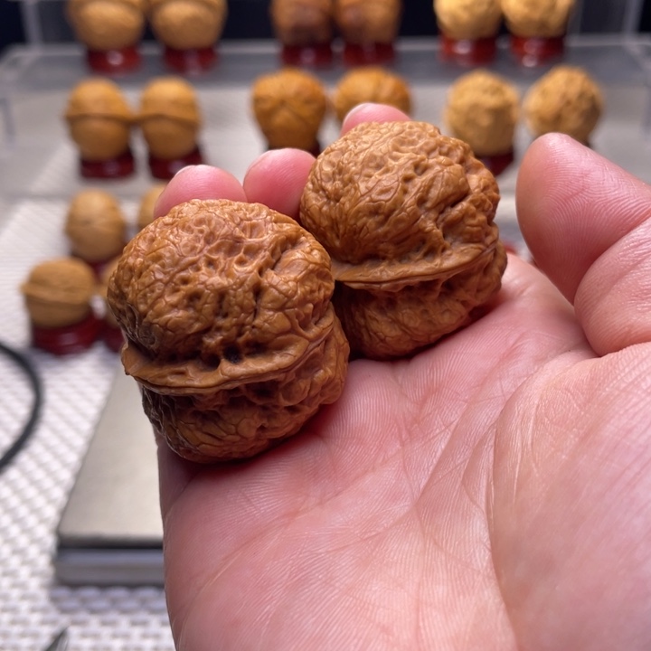 文玩核桃把件7金貔貅