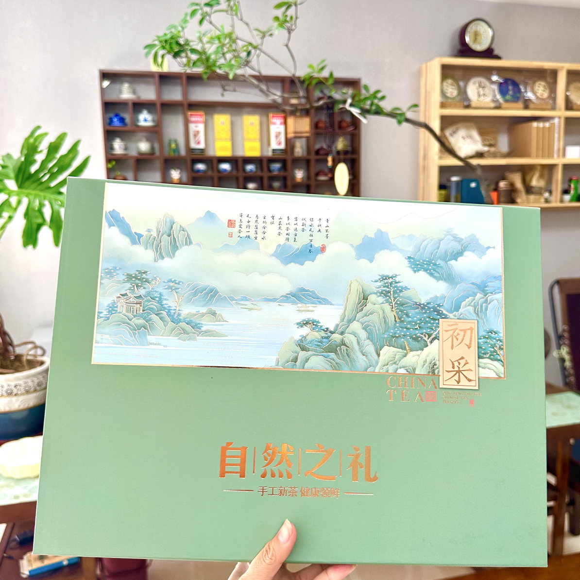 【日照绿茶礼盒】新茶礼盒中秋高档露天日照绿茶