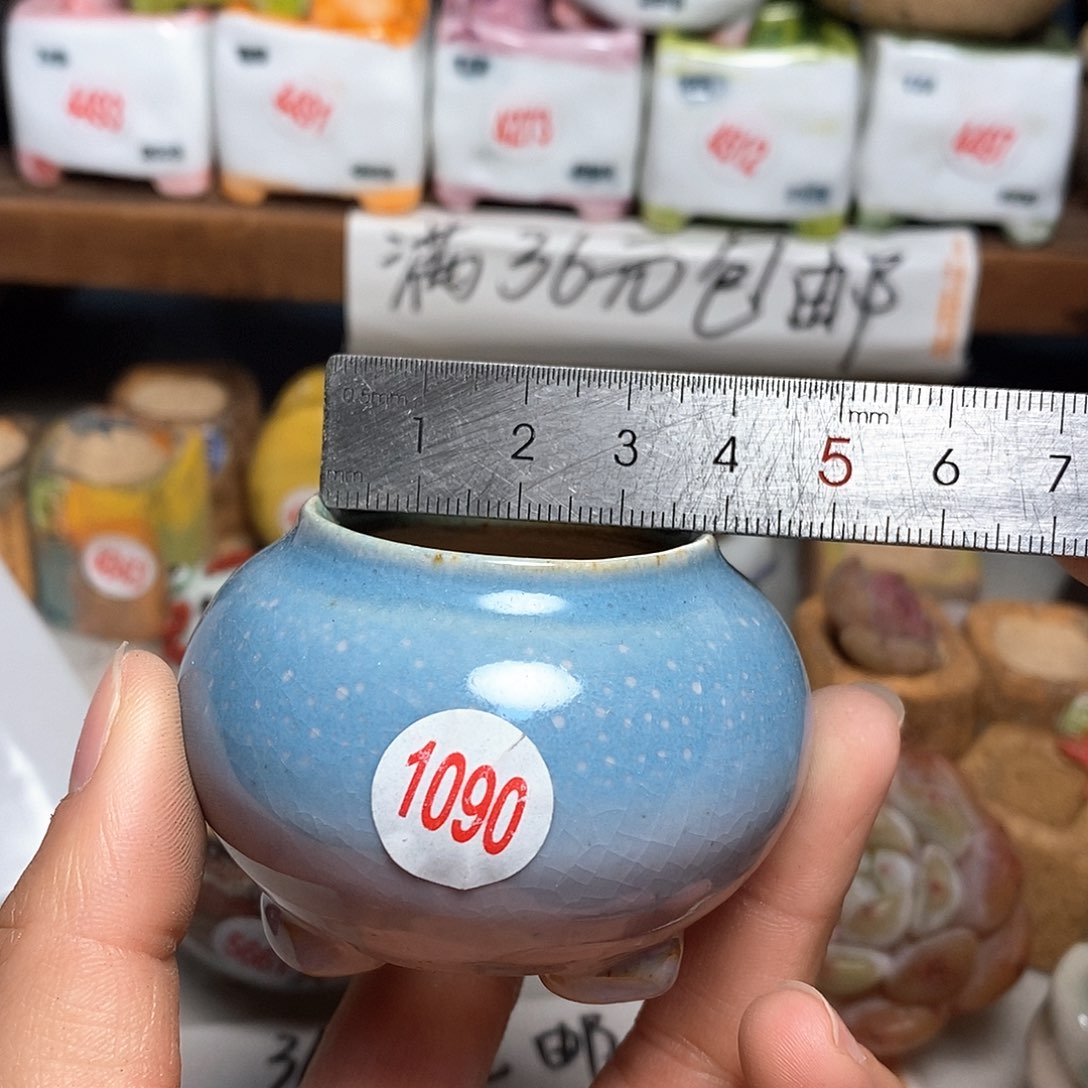 红陶拍5送一个小