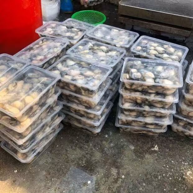 现剥大号生蚝肉250/盒到手9盒，每盒5-8只左右