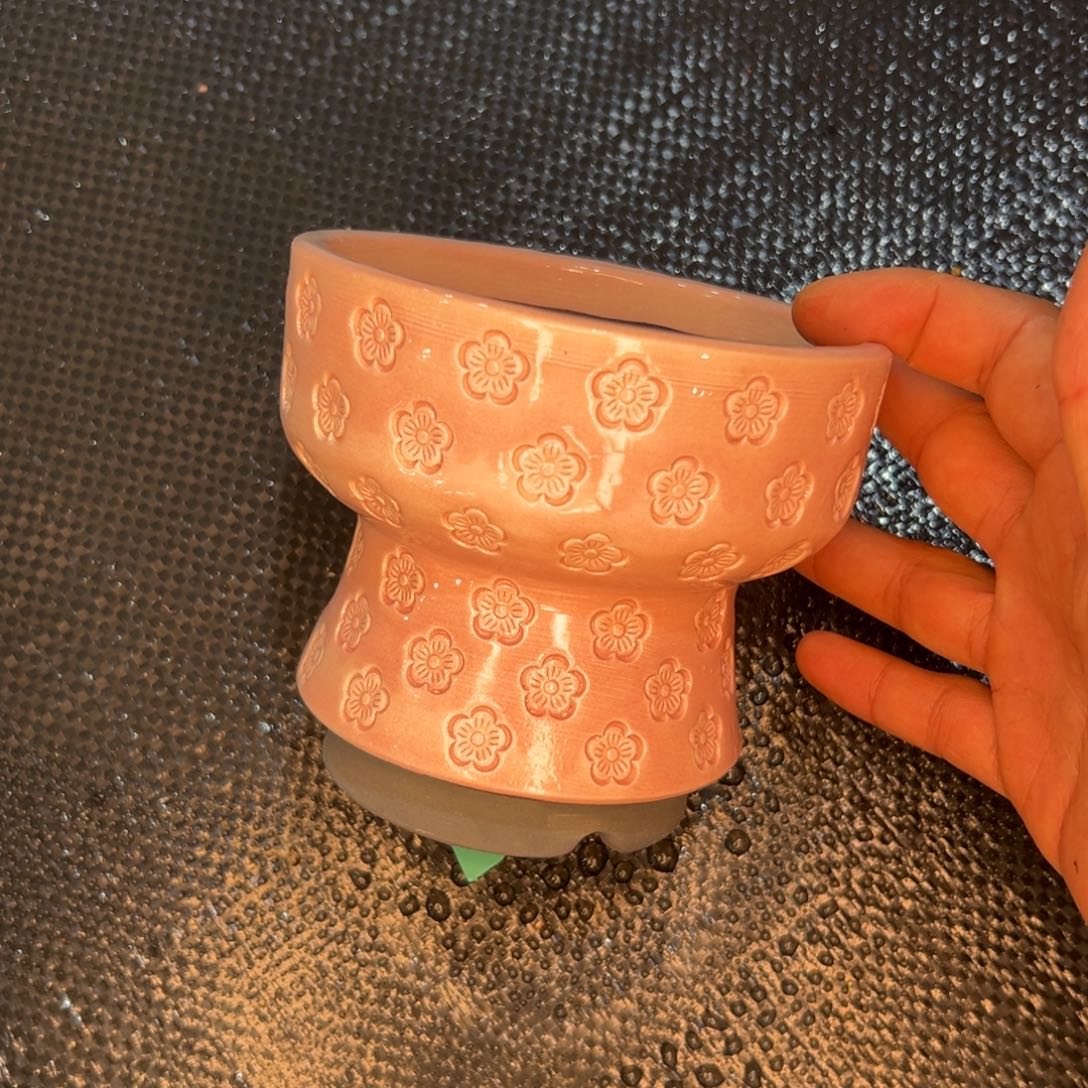 多肉一物一拍0314-212