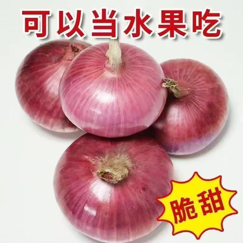 2025现挖新鲜红洋葱鲜嫩多汁水果扁洋葱可生吃