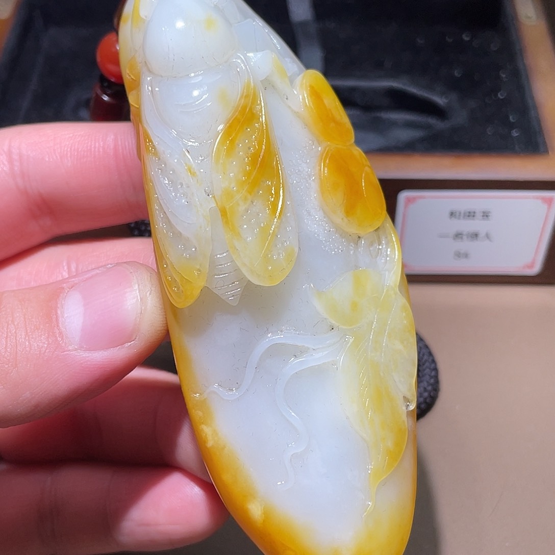 和田玉颈饰未镶嵌Z6