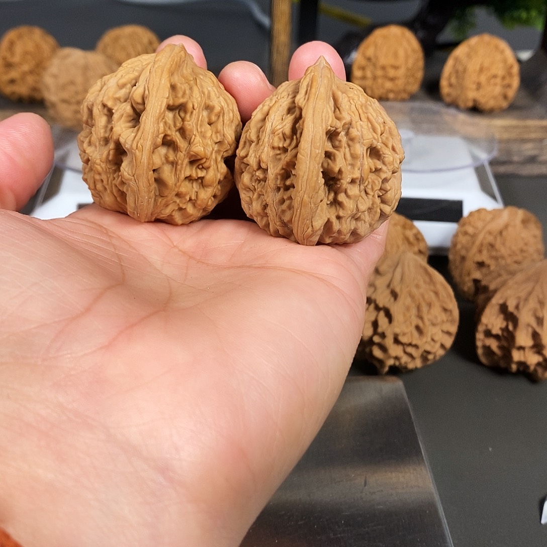 文玩核桃把件红皮老树大麦虎骨质超棒