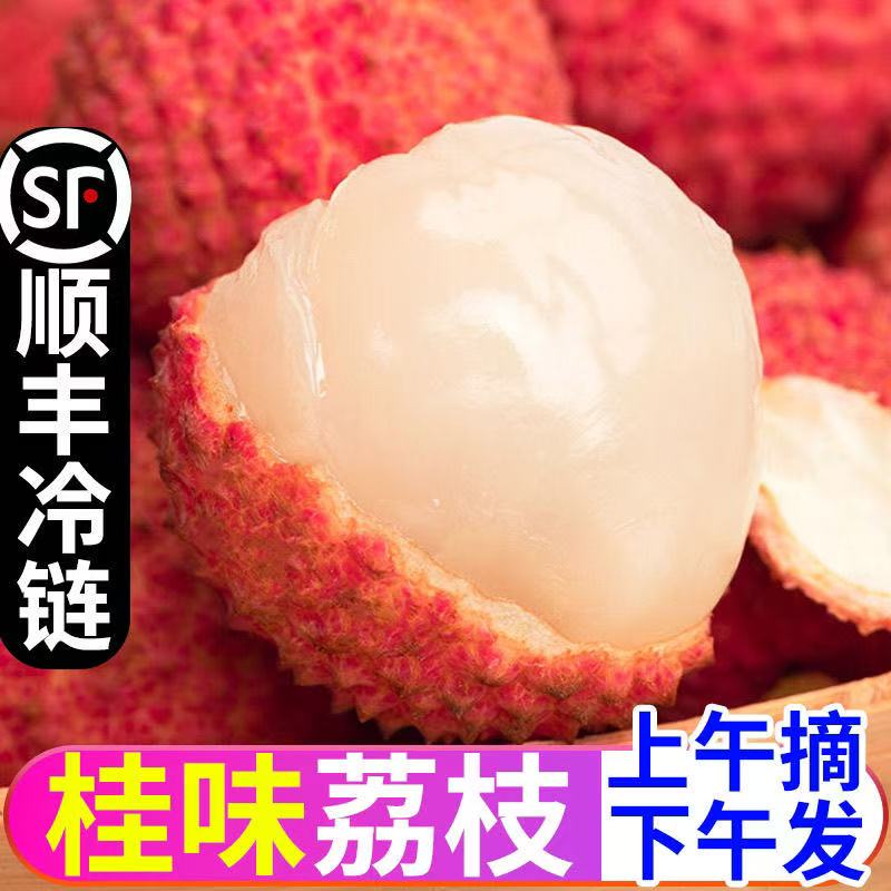 （顺丰包邮）广东桂味荔枝茂名高州新鲜摘应季水果