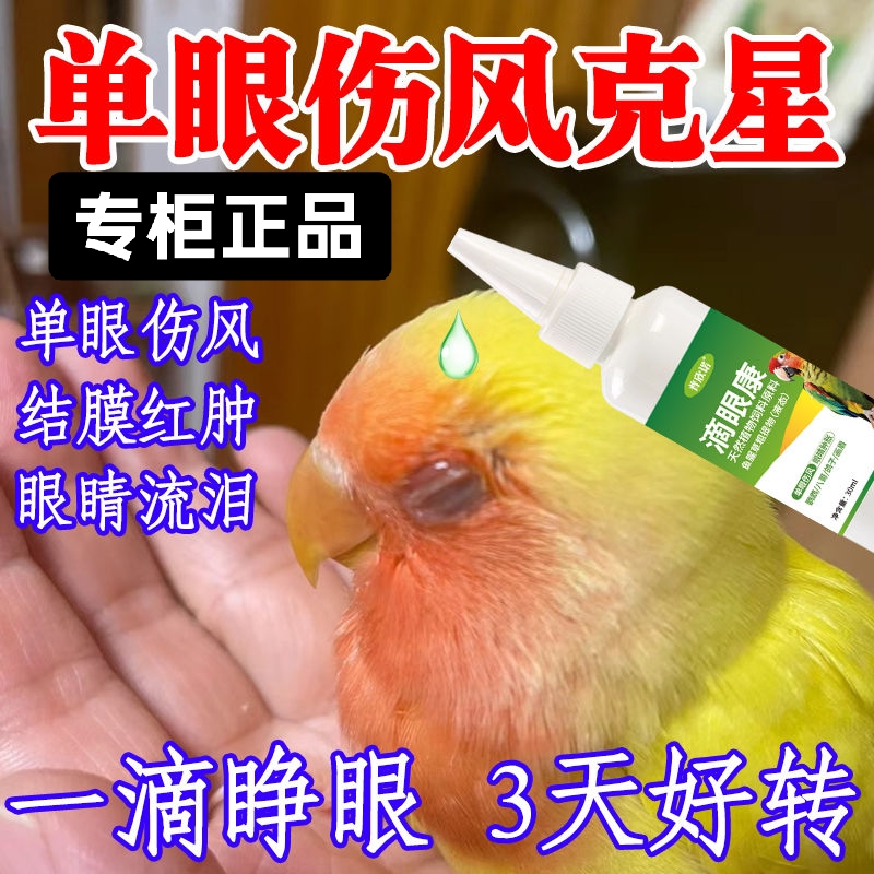 鹦鹉滴眼液单眼伤风鸟用滴眼康眼流泪息肉肿胀闭眼