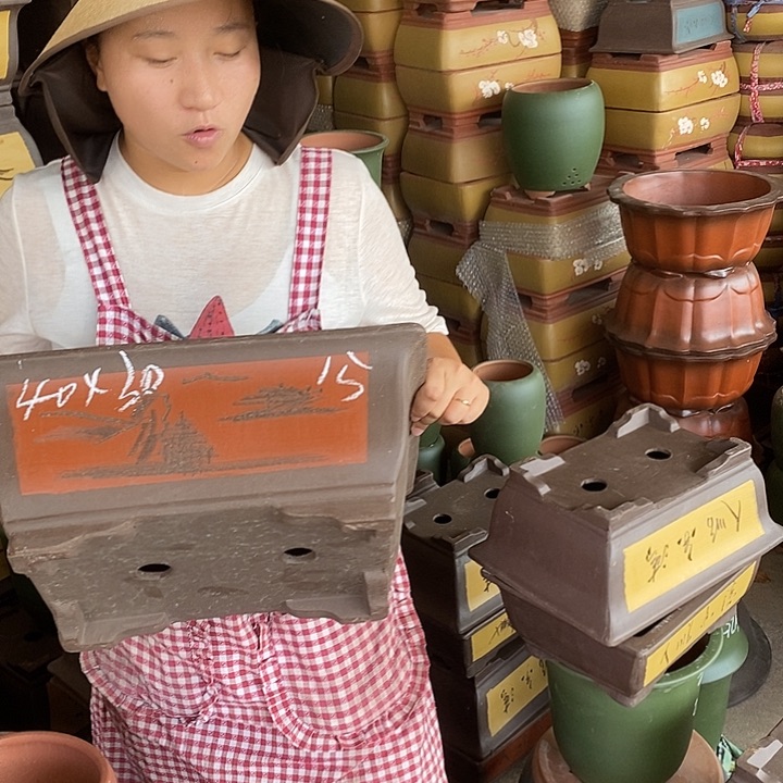 紫砂花盆紫砂花盆盆栽花卉种植