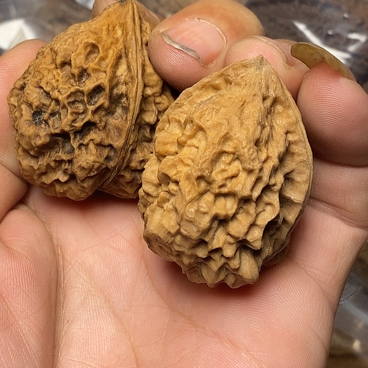 把件文玩核桃云南铁核桃11号40mm