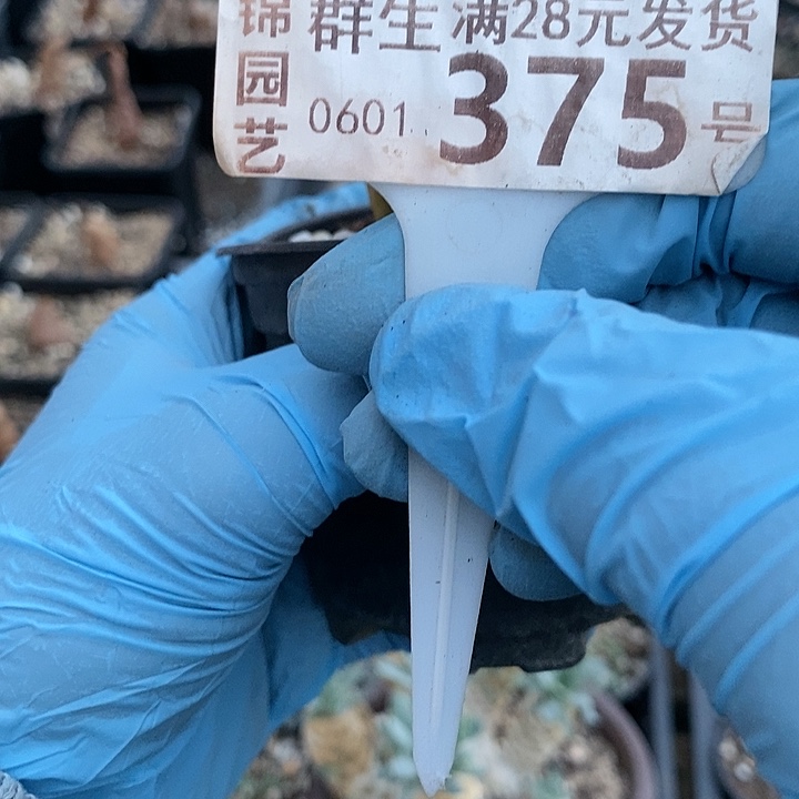 越*樾375一一一一一一一一一