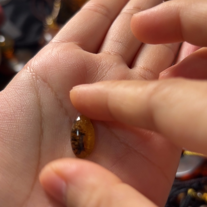 琥珀未镶嵌裸石植物