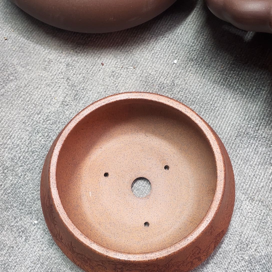 紫砂小盆11*5.5cmmmm