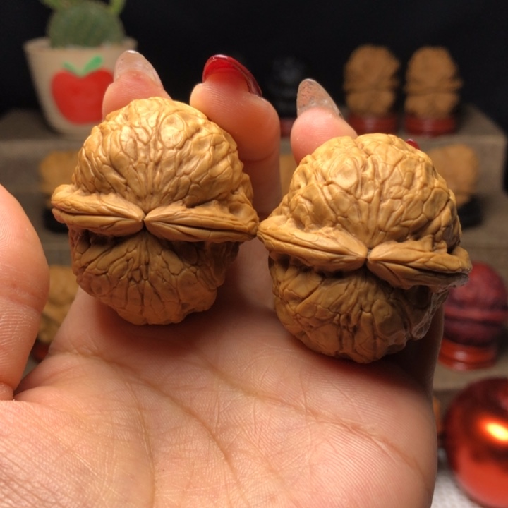 文玩核桃把件16金龟玉甲