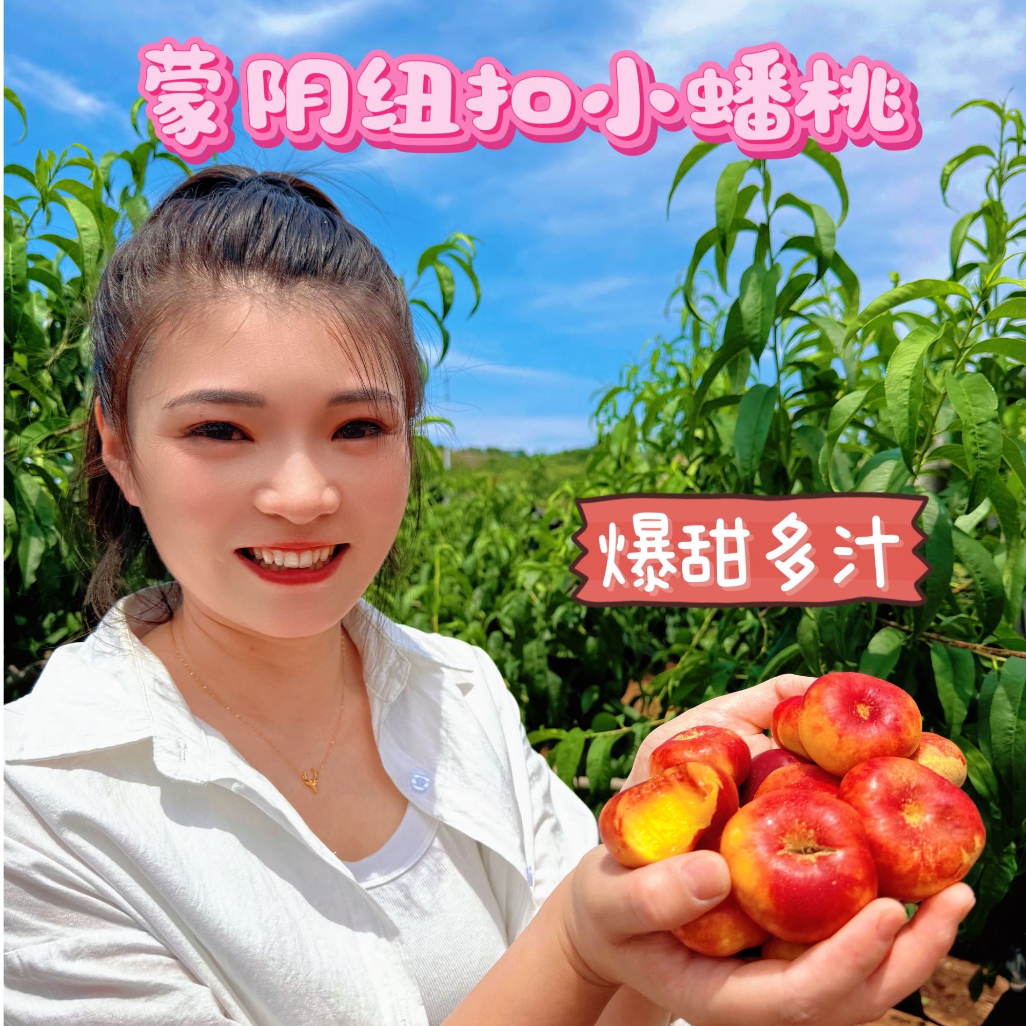 彩虹小油蟠桃【顺丰】丑桃特甜蟠桃纽扣蟠桃香甜爆汁1-3斤次日达山东省