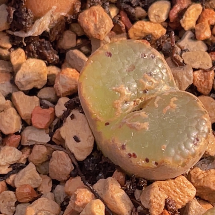 788888988888888888888