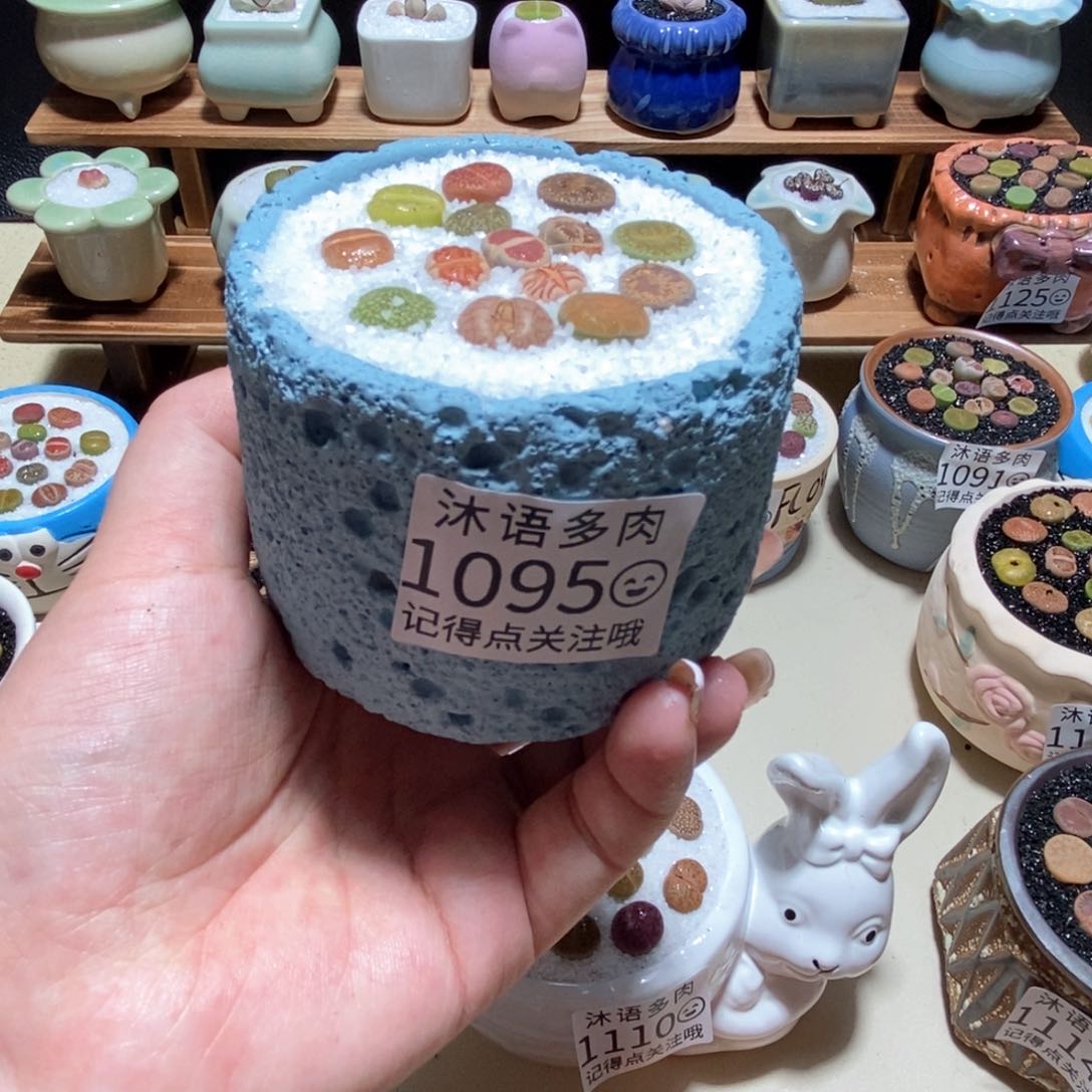 所见即所得 一物一拍 1095