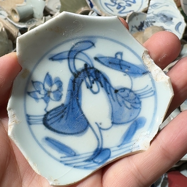 瓷片瓷片标本，顺丰包邮