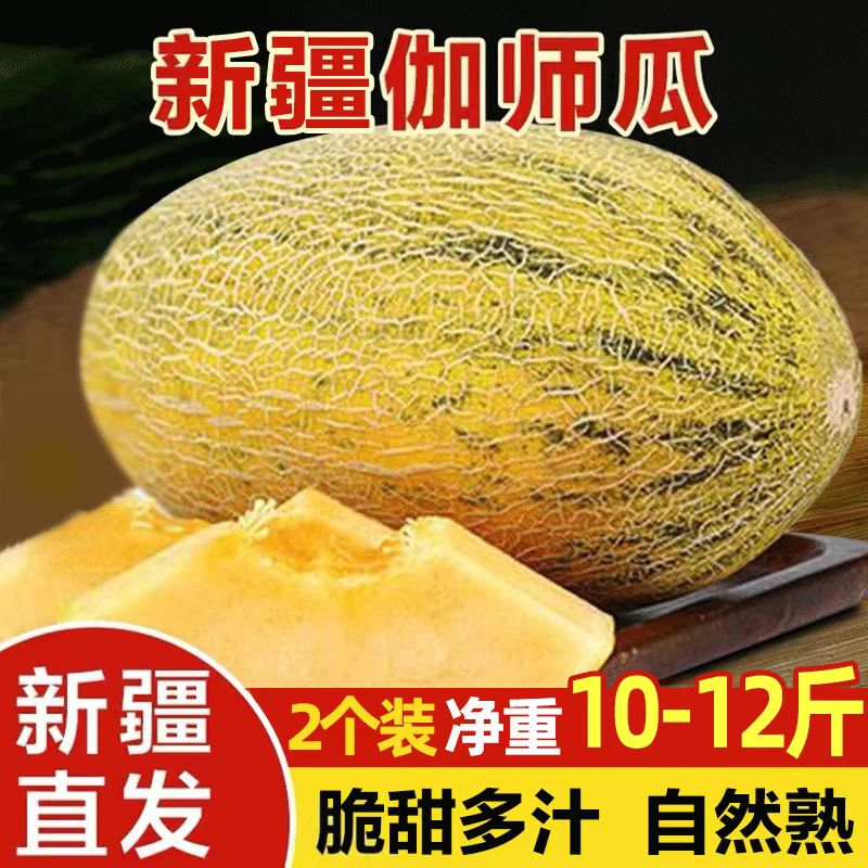 新疆伽师瓜 2枚装 新鲜采摘 香甜好吃蜜瓜 新疆快递直发