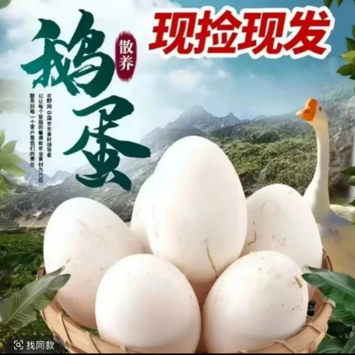 【买10枚送10枚】土鹅蛋正宗农家散养孕妇散养新杂粮喂养老人小孩