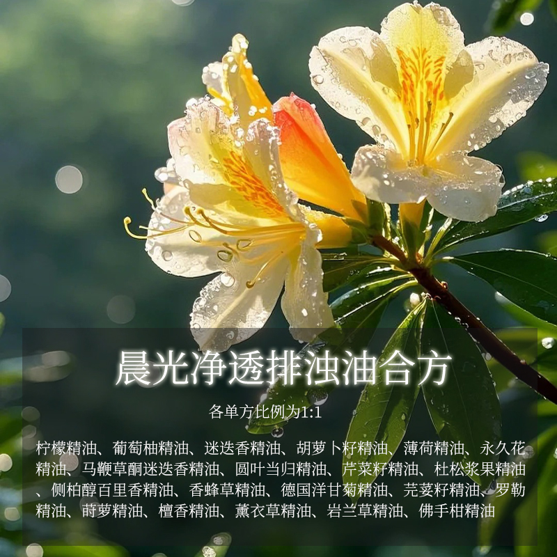 100ml晨光净透排浊油合方
