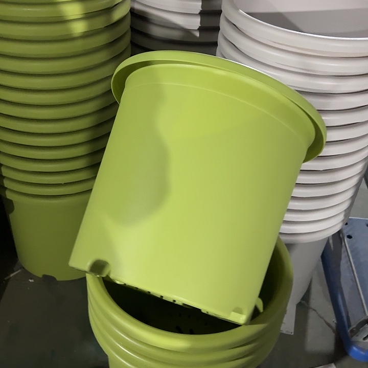 微瑕9#口径46无托果绿3个