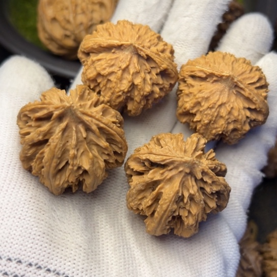 風***邊吊坠文玩核桃秦岭核桃8