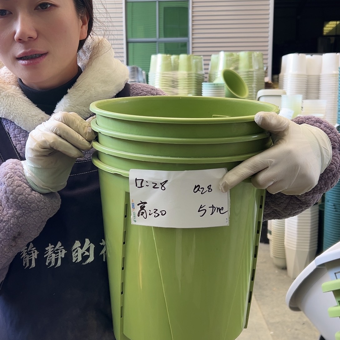 瑕疵空气柱28#果绿5个无托