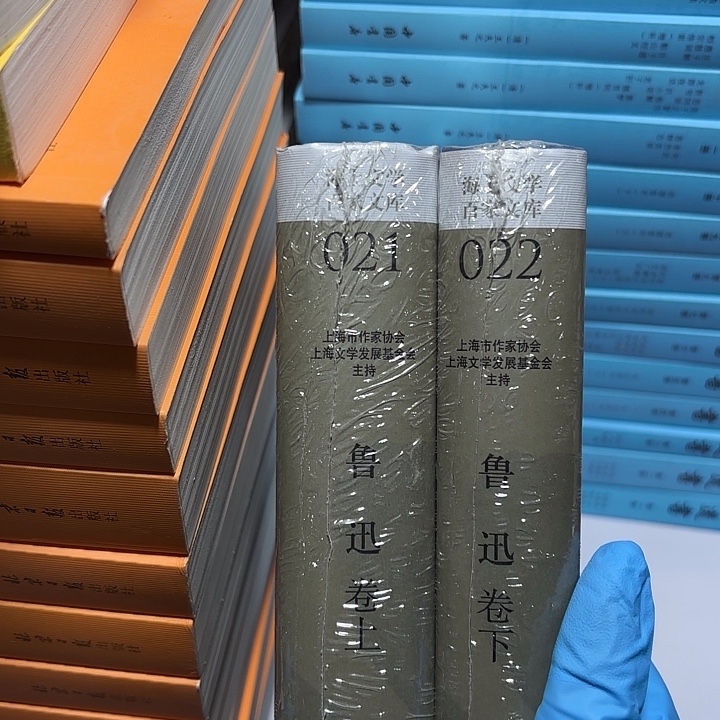 迅哥卷上下…………………………