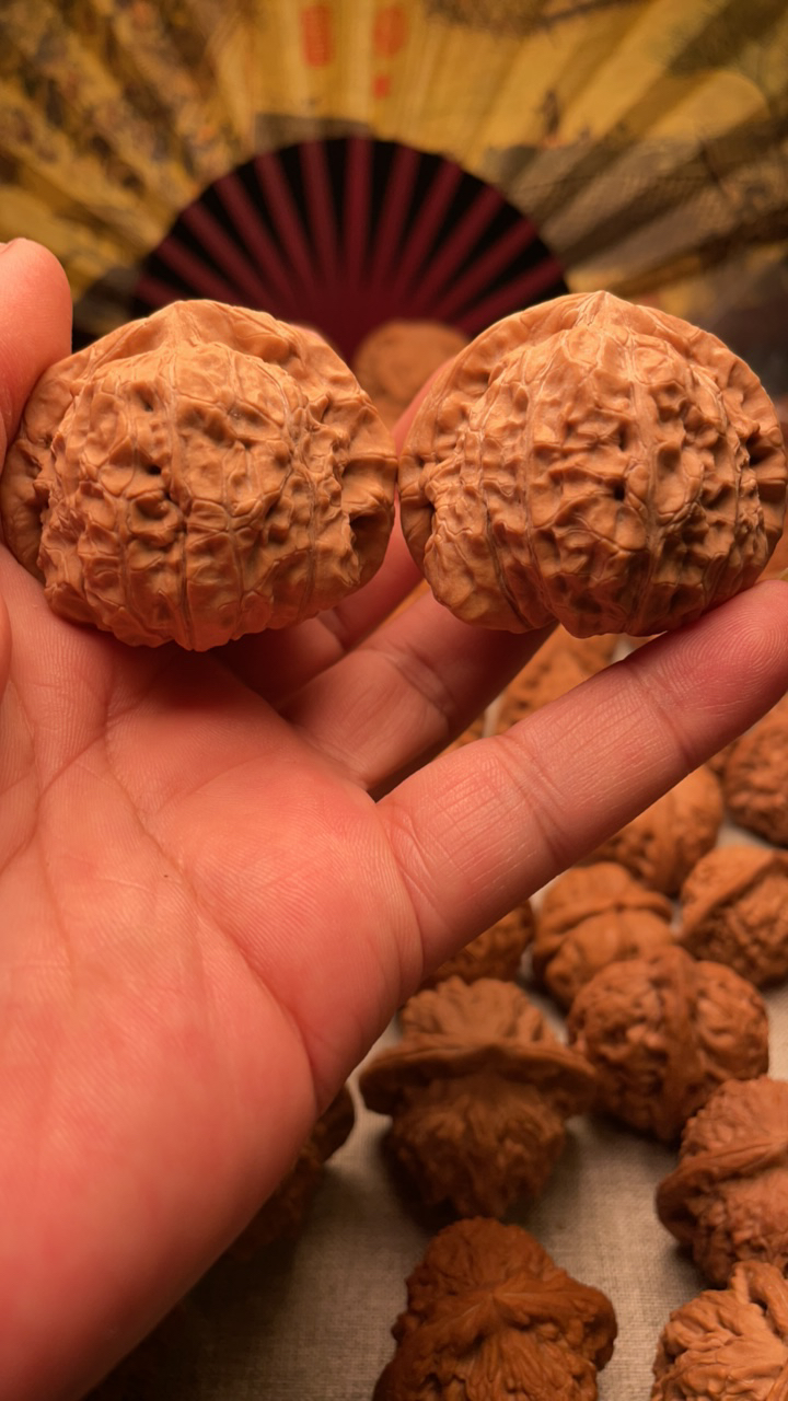 南瓜核桃4.8全品无修