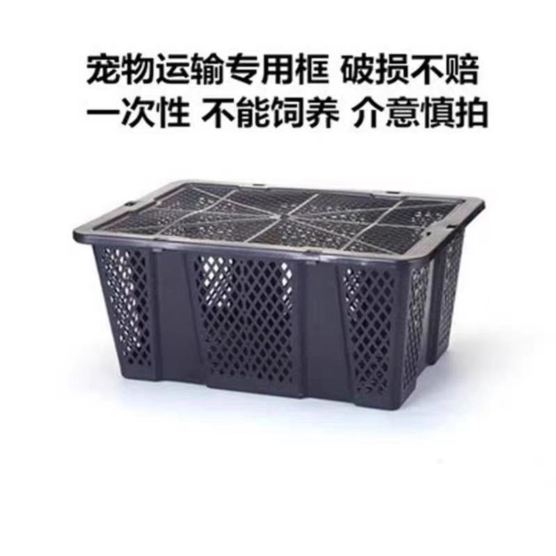 【一斤三花四季专属】宠物家禽用品镂空塑料篮运输收纳筐储物