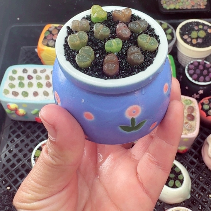 510零下地区记得拍保温箱满18包邮