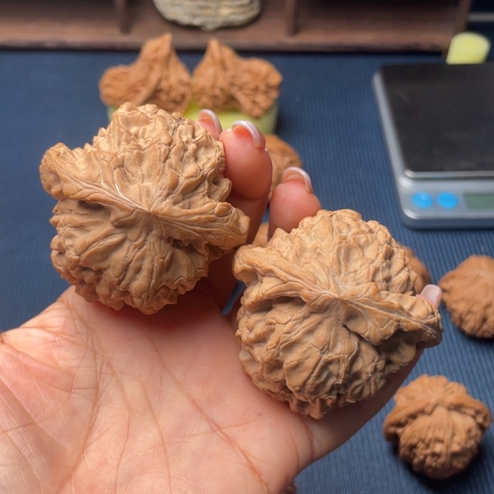 核桃54龙鼎全品无修