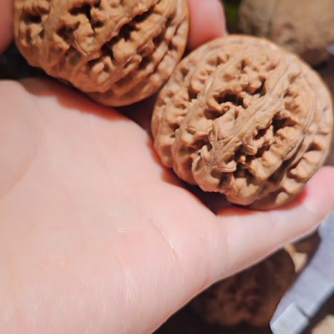 文玩核桃吊坠46粗筋