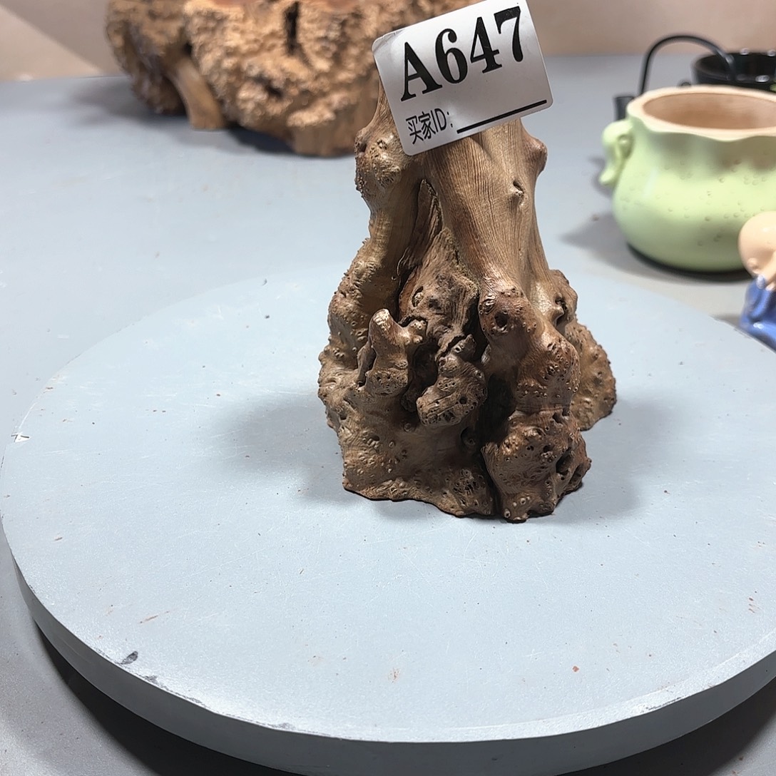 布***愚大果紫檀（缅甸花梨）