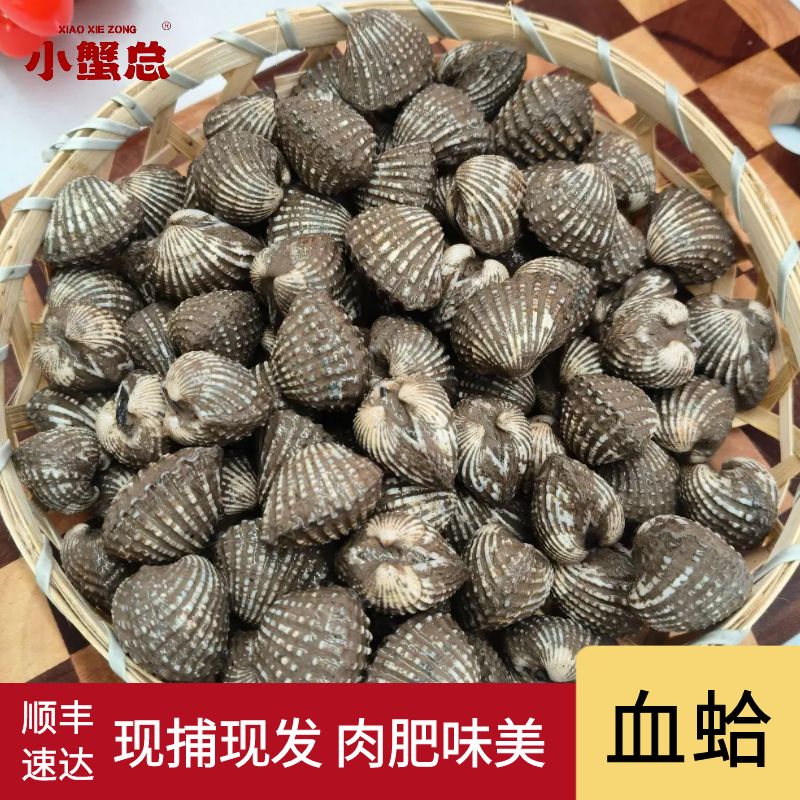 乐清翁垟血蛤花蛤送酱油醋送开口器发顺丰快递