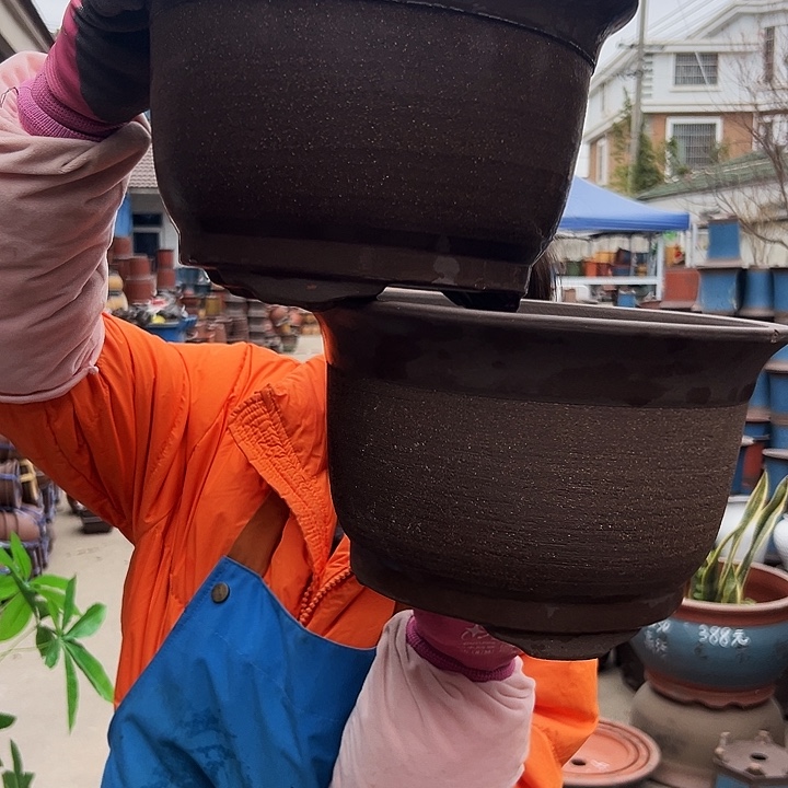 25+25拉毛小马花盆花盆花盆