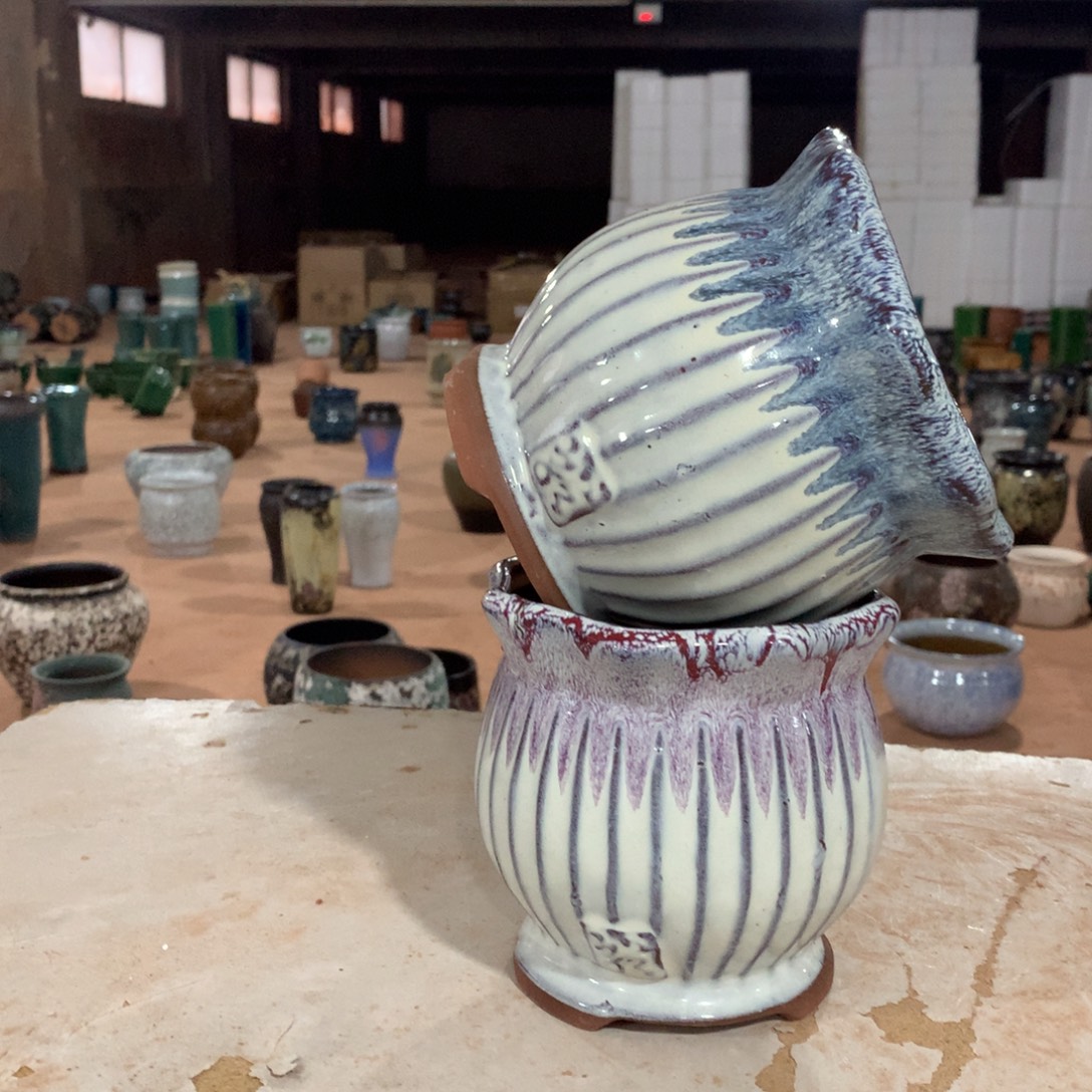 花盆啦啦啦啦啦啦啦啦